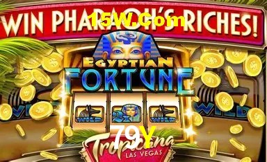 Casino Ao Vivo 79Y